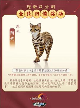 天龙八部私服里庄家